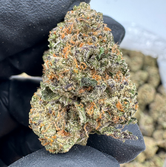 FUTURE HAZE