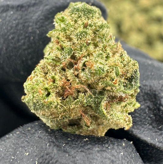 GORILLA GLUE Smalls