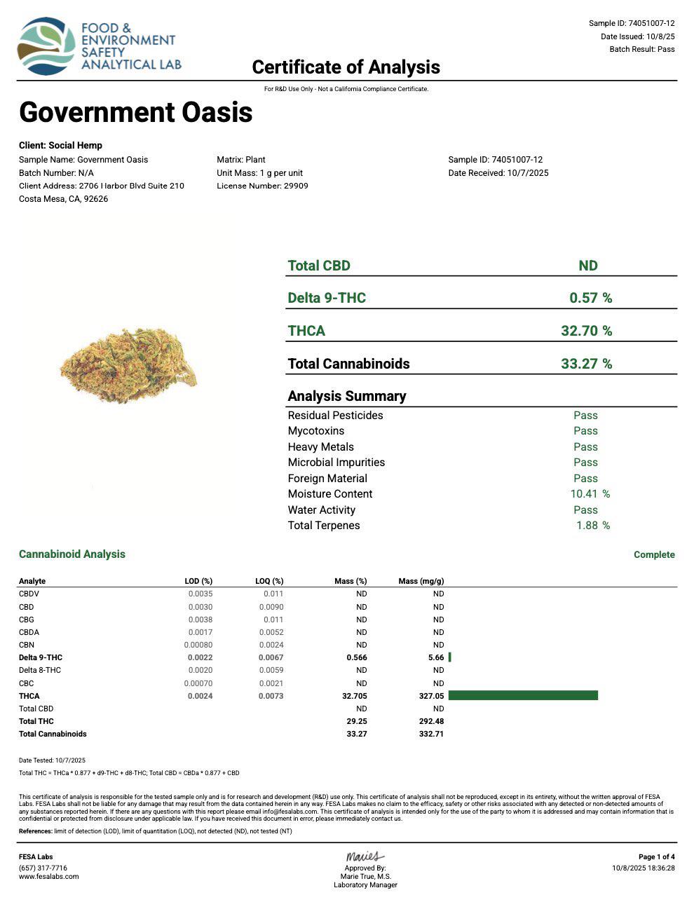 GOVERNMINT OASIS OG THCA FLOWER, BRANDED & JARRED