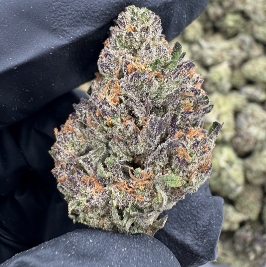 PURPLE DREAM