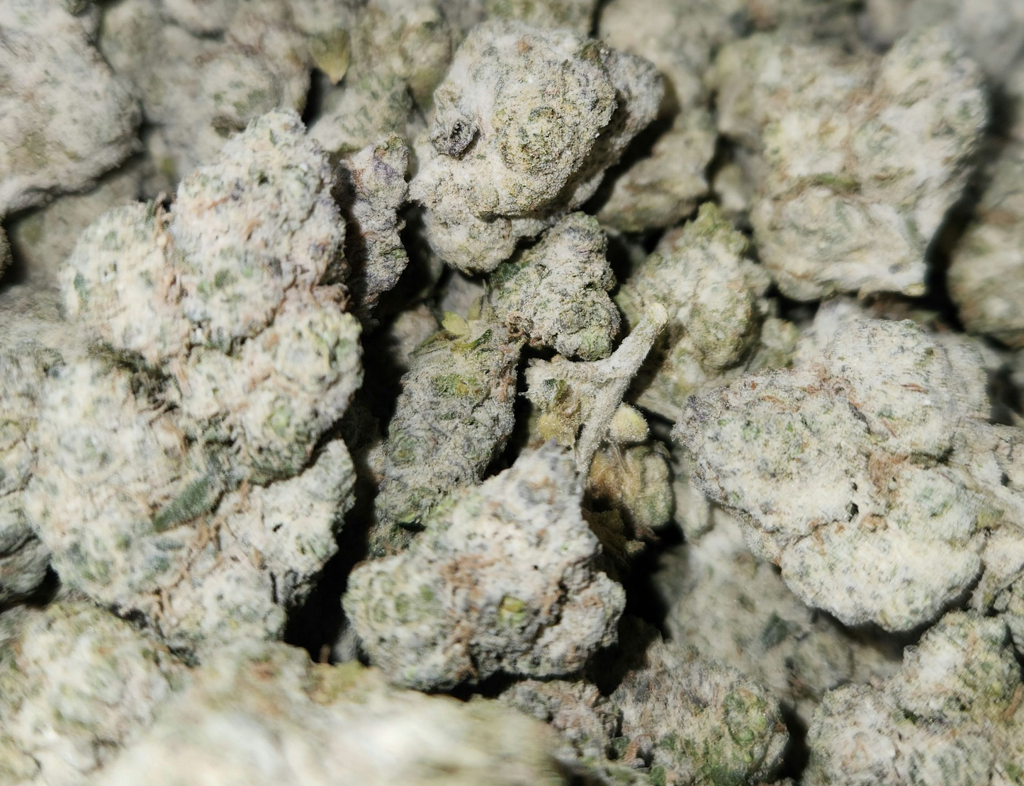SNOWBOMBZ