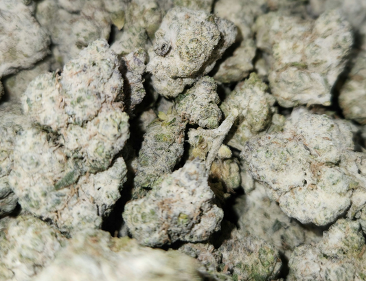 SNOWBOMBZ