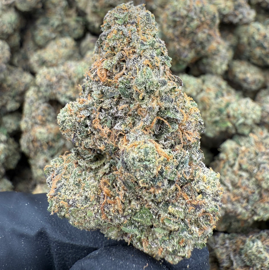 STARDAWG