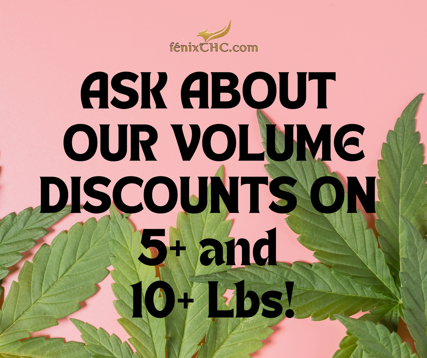 BULK THCA PREMIUM FLOWER INDOOR THIN MINT