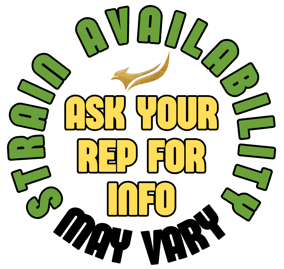 LIVE RESIN BUDDER, Approx. 80% THCA