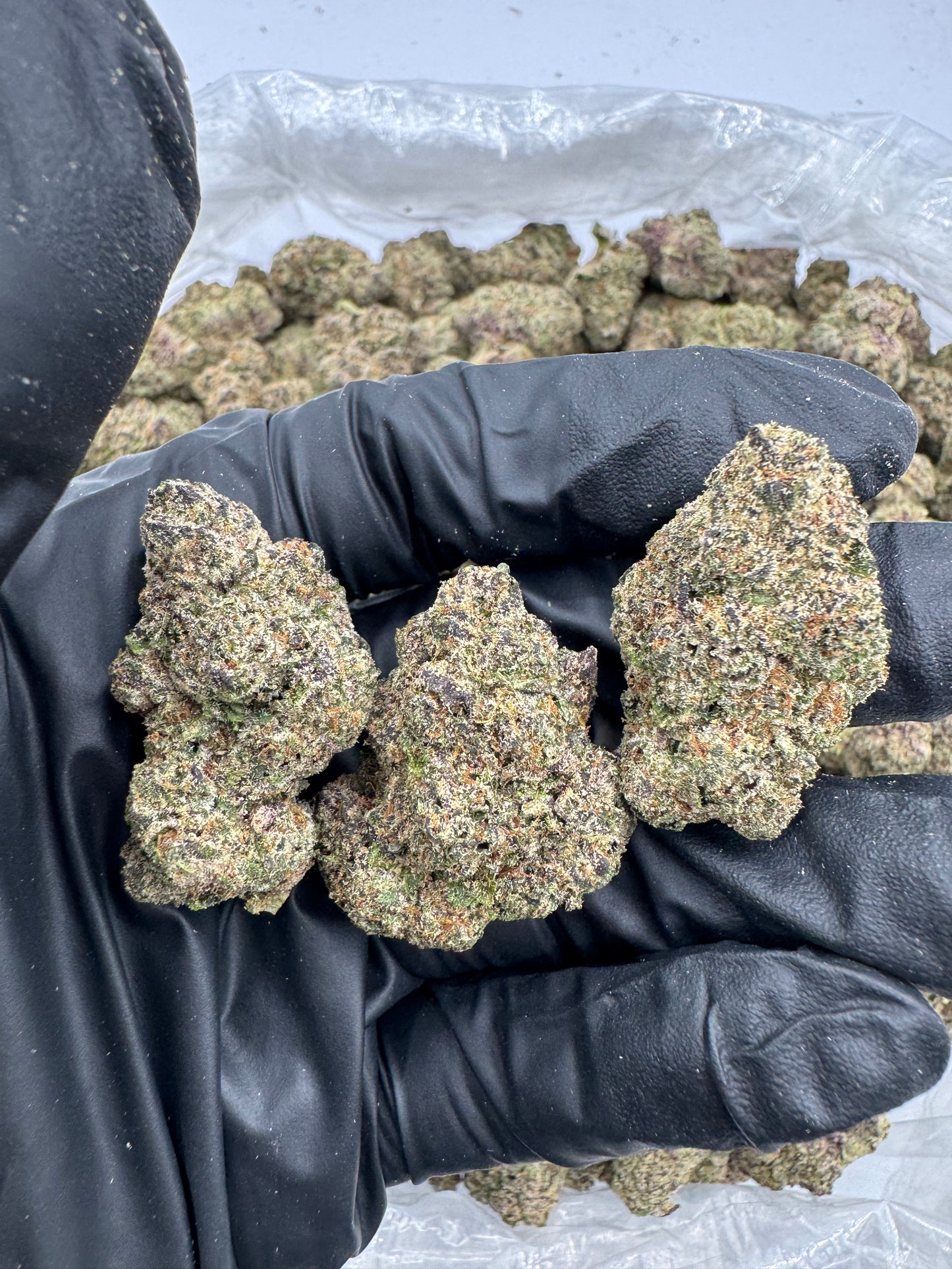 BULK THCA PREMIUM FLOWER EXOTIC ALIEN ROCK CANDY