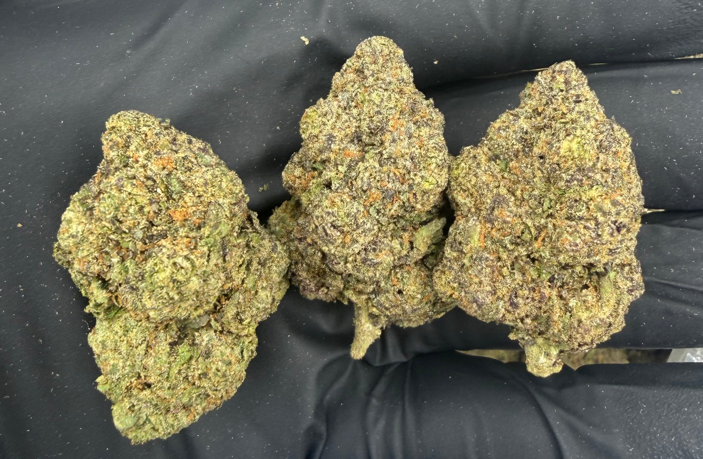 BULK THCA PREMIUM FLOWER EXOTIC BANANA SHERBET