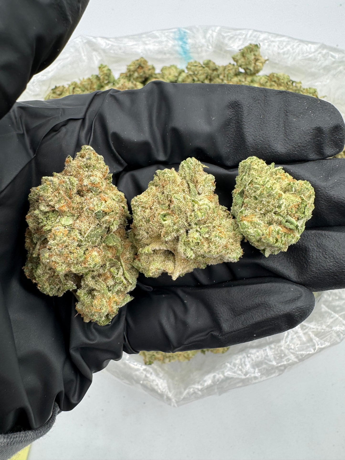 BULK THCA PREMIUM FLOWER INDOOR BERRY PIE