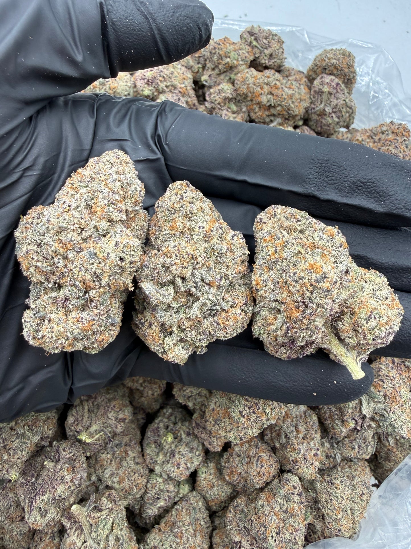BULK THCA PREMIUM FLOWER EXOTIC BLING CHEESECAKE