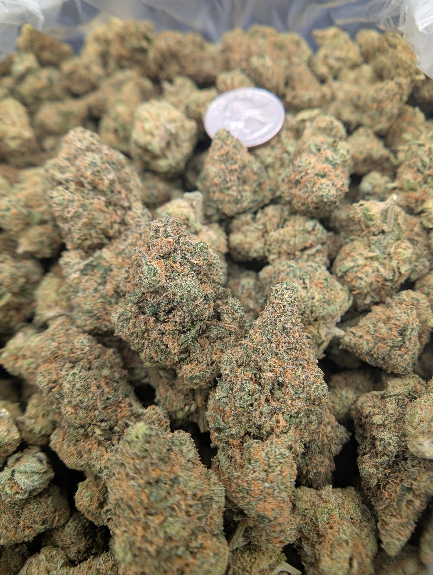 BULK THCA ECONOMY FLOWER INDOOR BLUE ZUSHI