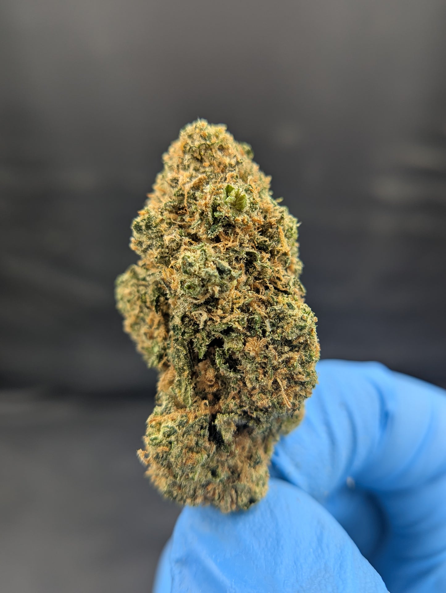 BULK THCA ECONOMY FLOWER INDOOR BLUE ZUSHI