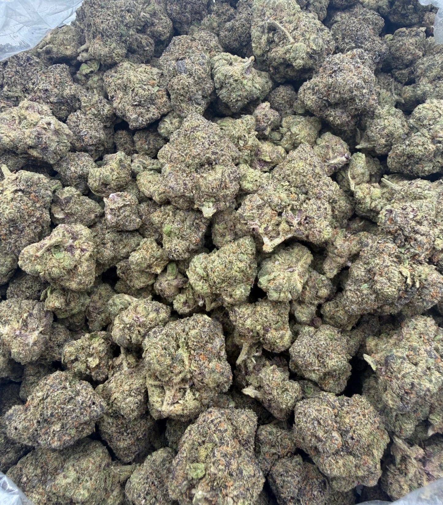 BULK THCA PREMIUM FLOWER EXOTIC BANANA SHERBET