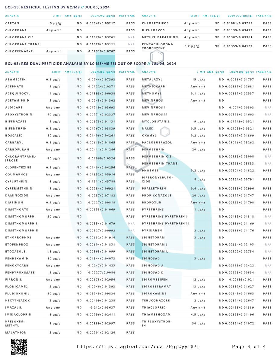 BAILEY'S CBD CAT TINCTURE