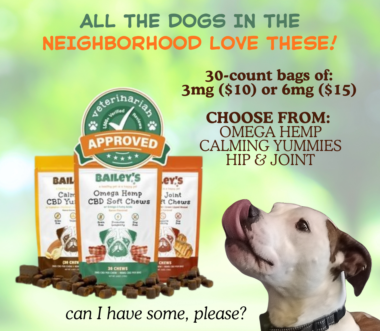BAILEY'S CBD DOG TREATS