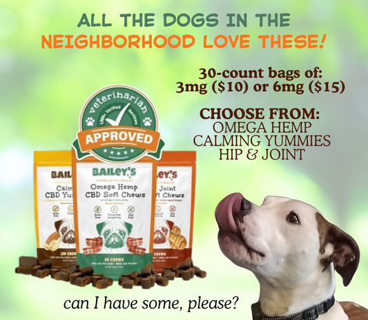 BAILEY'S CBD DOG TREATS
