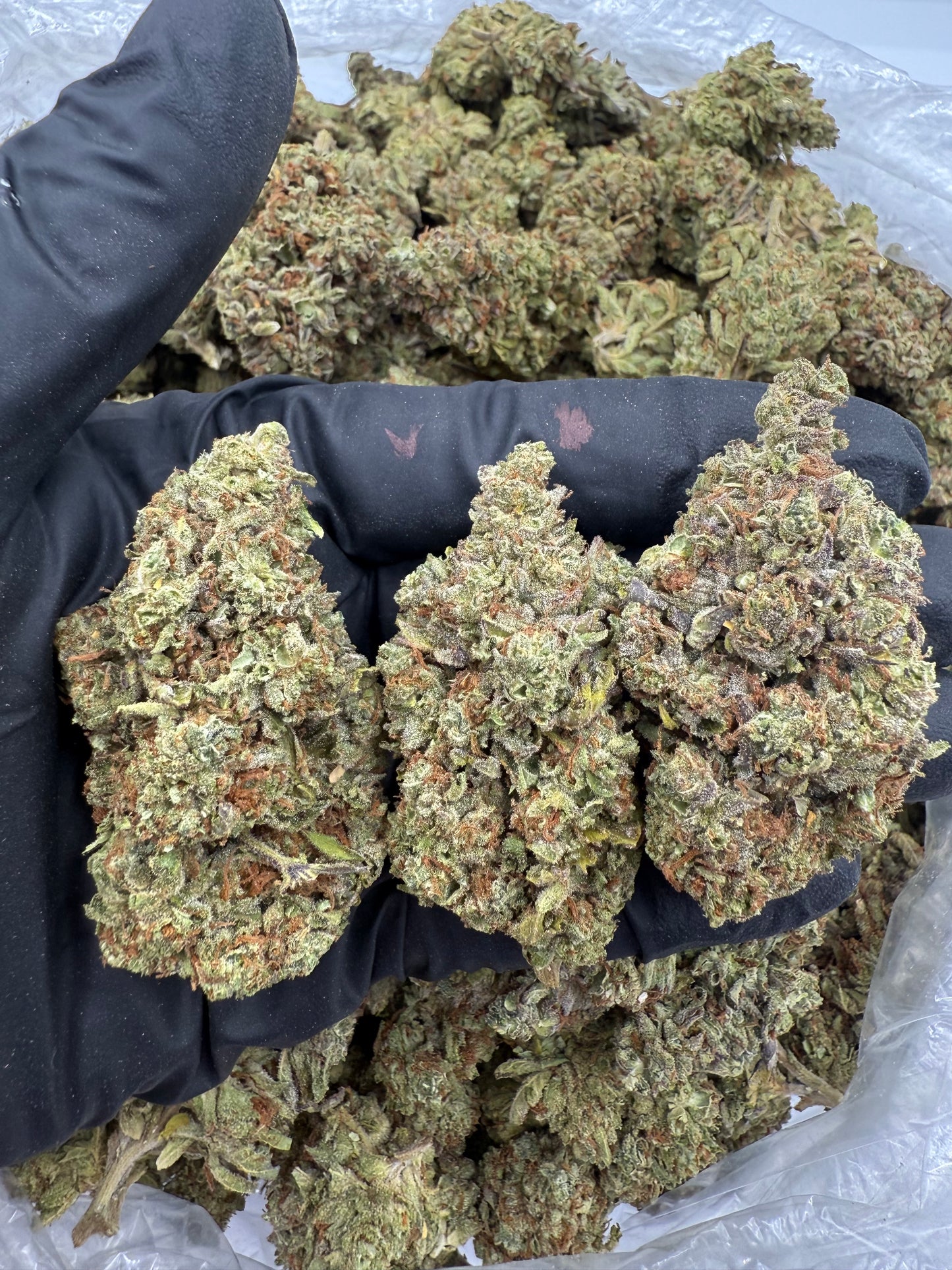 BULK THCA PREMIUM FLOWER LIGHT DEP DO-SI-DOs