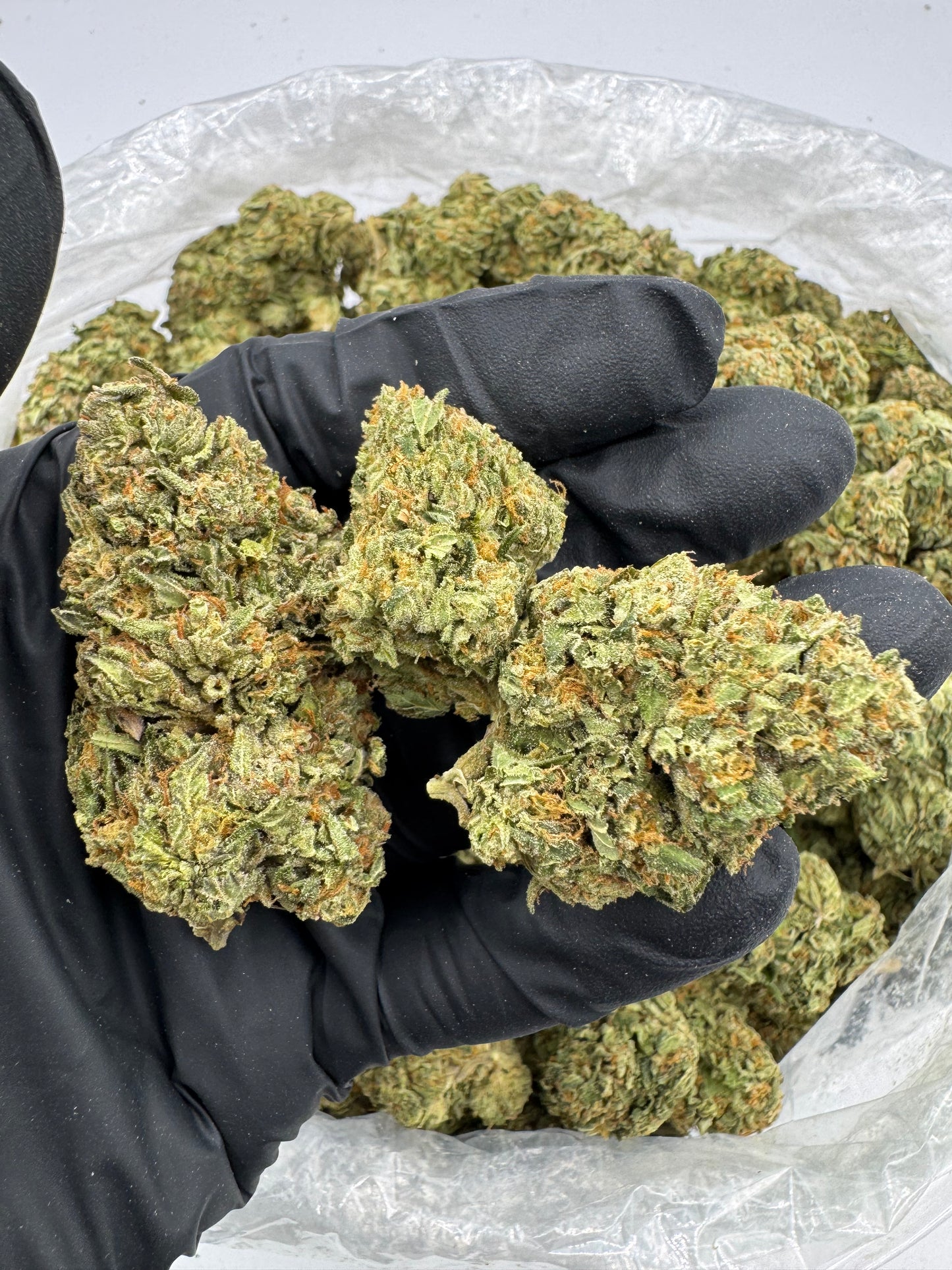 BULK THCA PREMIUM FLOWER LIGHT DEP GELATO 41