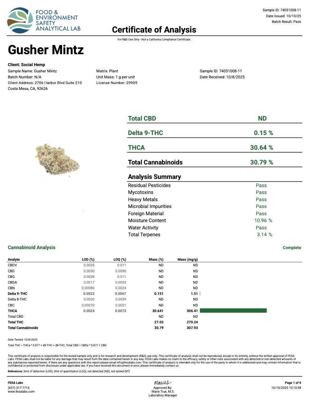 GUSH MINTZ THCA FLOWER, BRANDED & JARRED