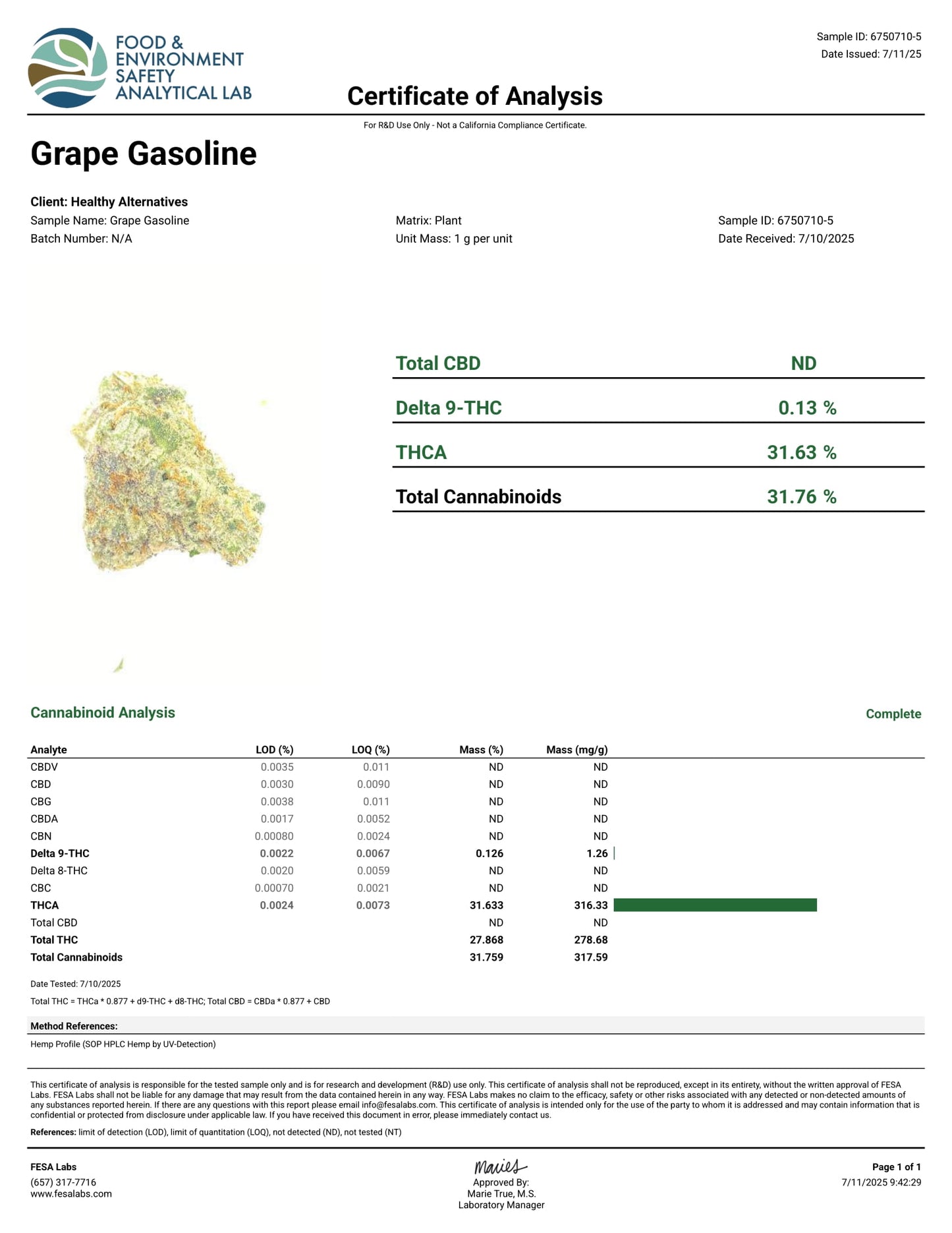 GRAPE GASOLINE THCA FLOWER, BRANDED & JARRED