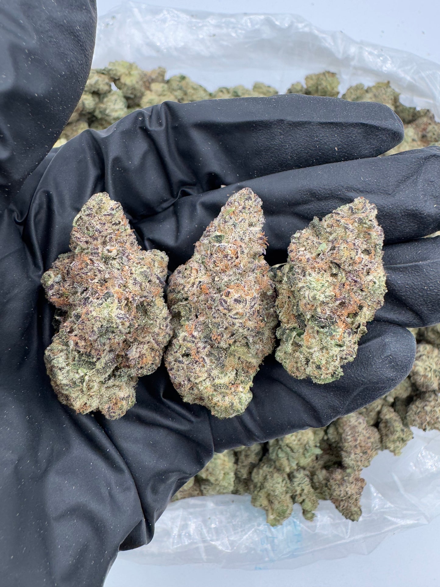 BULK THCA PREMIUM FLOWER EXOTIC HAN SOLO (BURGER)