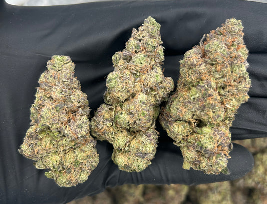 BULK THCA PREMIUM FLOWER EXOTIC HASH BURGER
