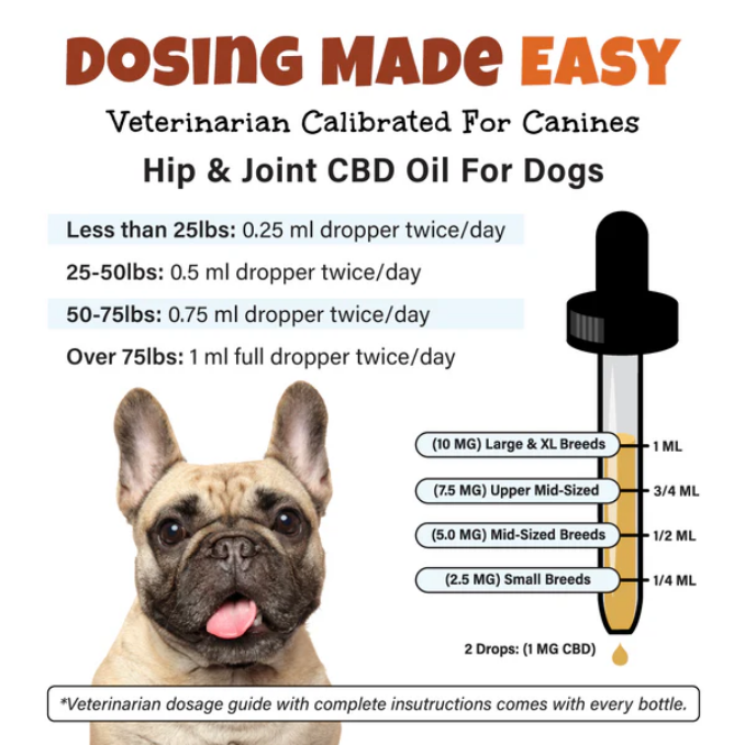 BAILEY'S CBD+TURMERIC DOG TINCTURE FOR HIP & JOINT