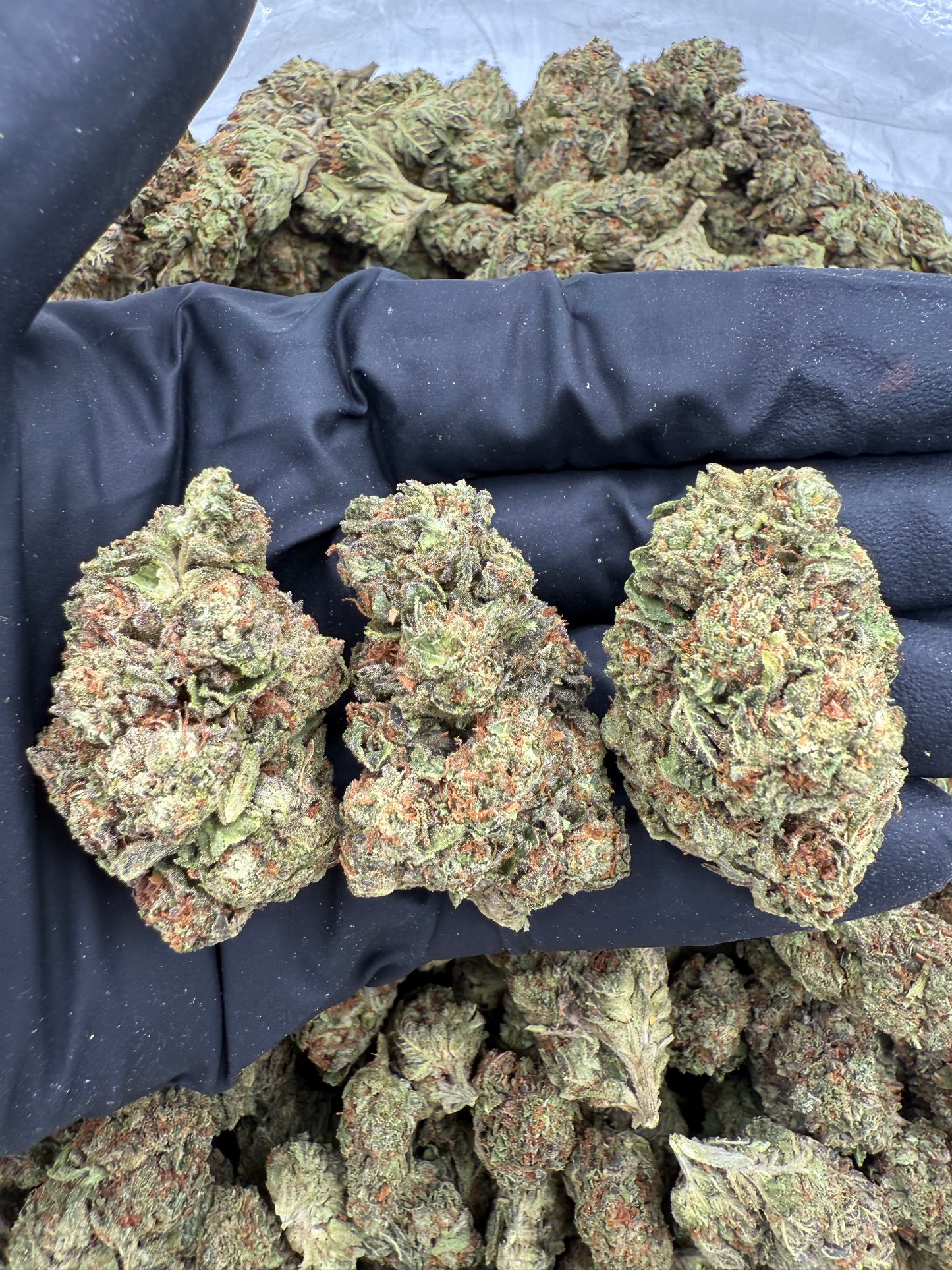 BULK THCA PREMIUM FLOWER LIGHT DEP ICE CREAM CAKE ICC