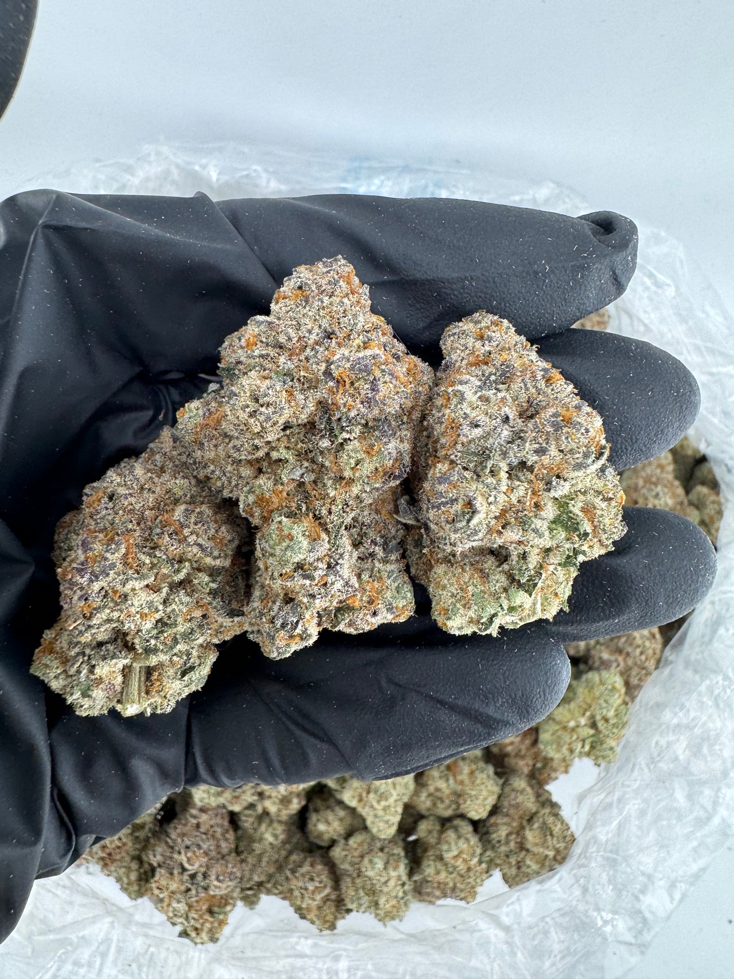 BULK THCA PREMIUM FLOWER INDOOR ILLEMONATI