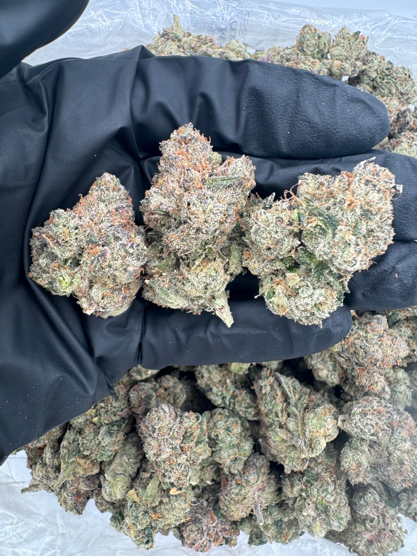 BULK THCA PREMIUM FLOWER EXOTIC JOKERZ CANDY