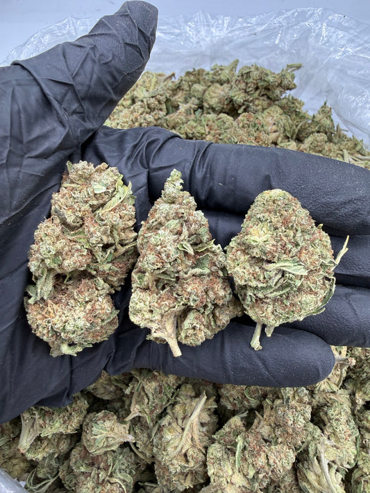 BULK THCA PREMIUM FLOWER LIGHT DEP L.A. KUSH CAKE