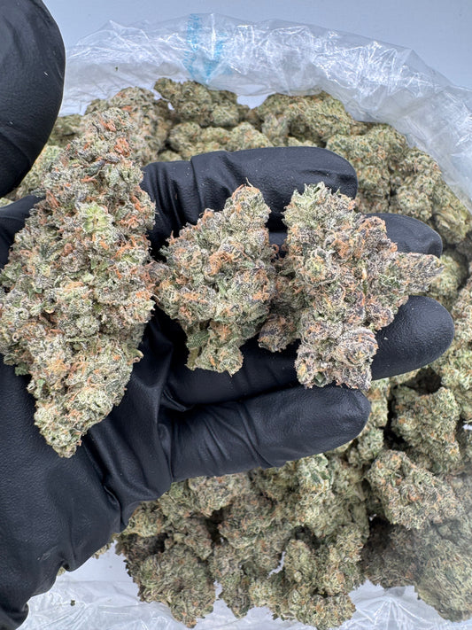 BULK THCA PREMIUM FLOWER INDOOR LCG LEMON CHERRY GELATO BX-1