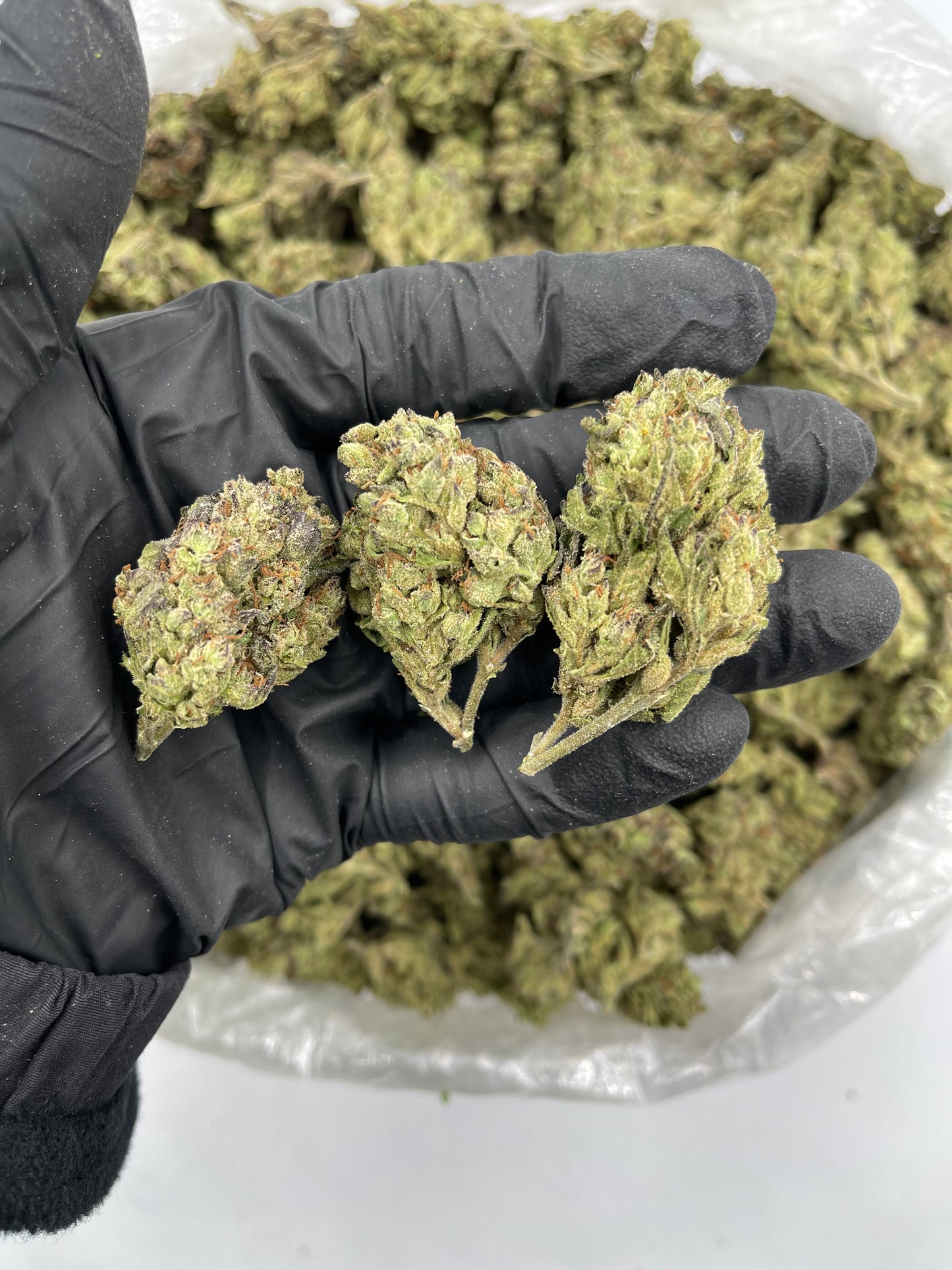 BULK THCA PREMIUM FLOWER LIGHT DEP LEMON CHERRY GELATO LCG