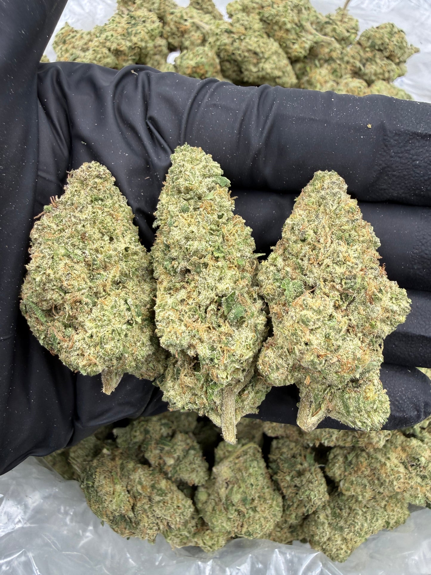 BULK THCA PREMIUM FLOWER LIGHT DEP LEMON CREAM