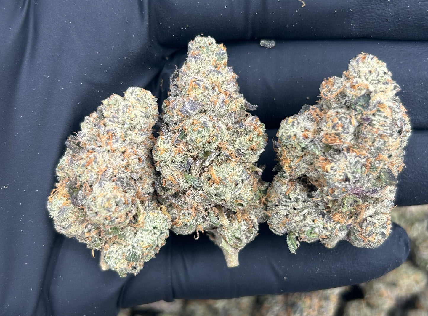 BULK THCA PREMIUM FLOWER EXOTIC MULE FUEL