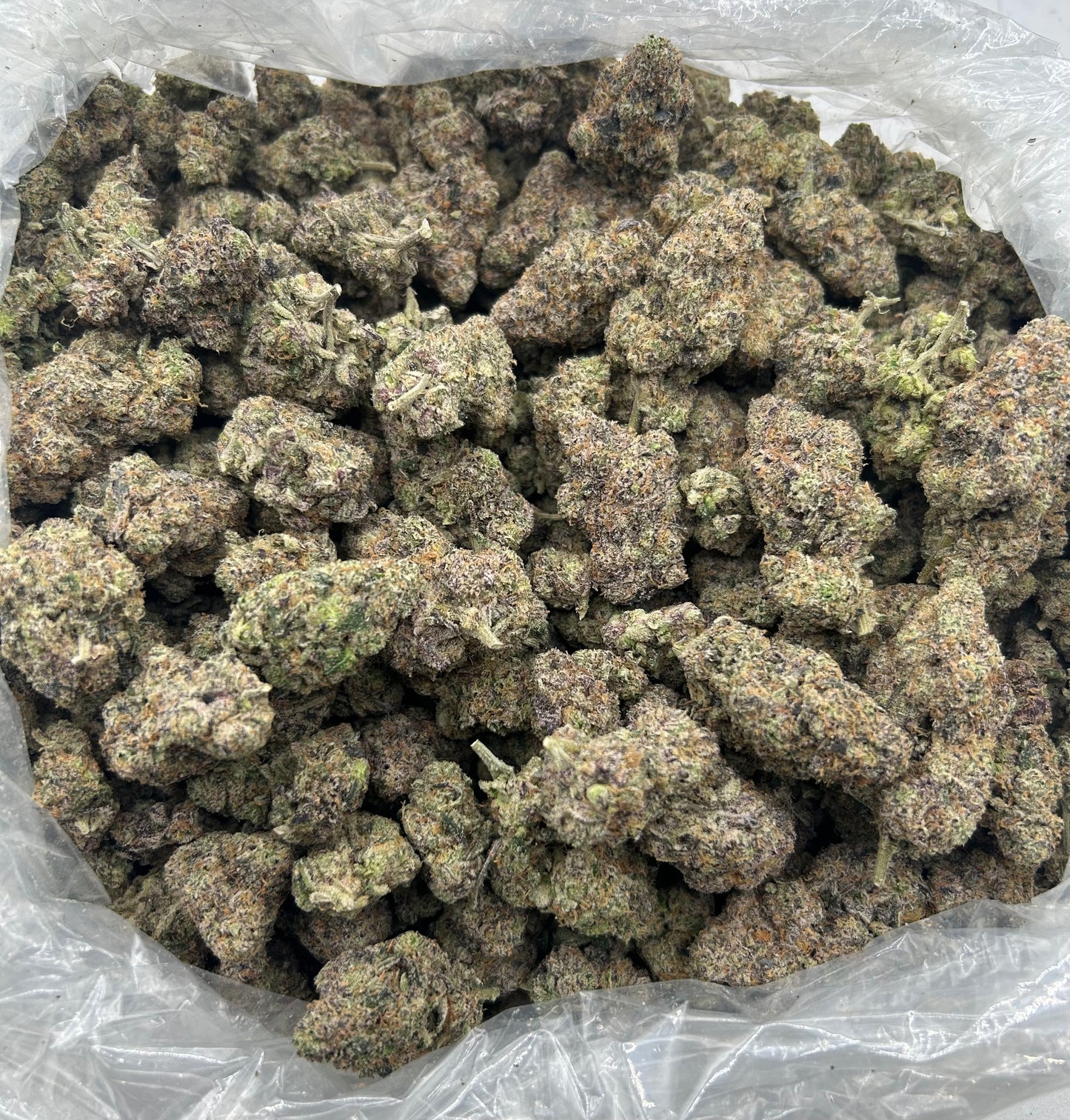 BULK THCA PREMIUM FLOWER EXOTIC NEW MONEY