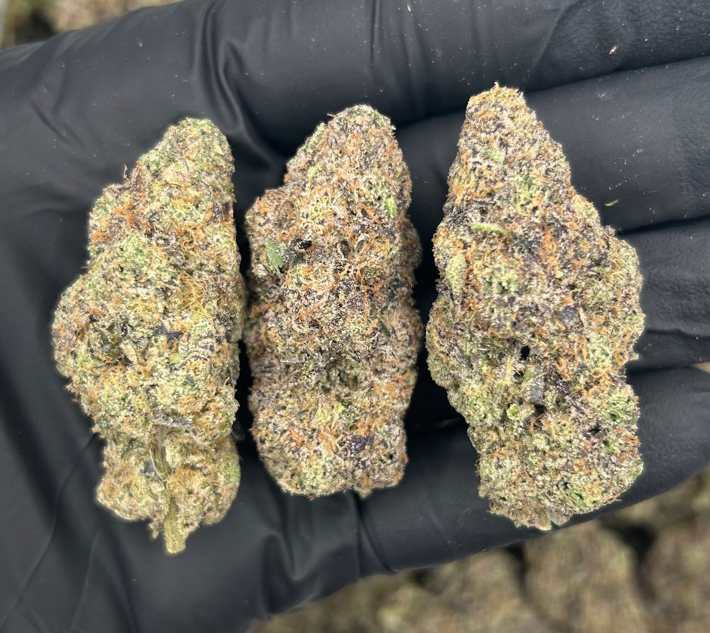 BULK THCA PREMIUM FLOWER EXOTIC NEW MONEY