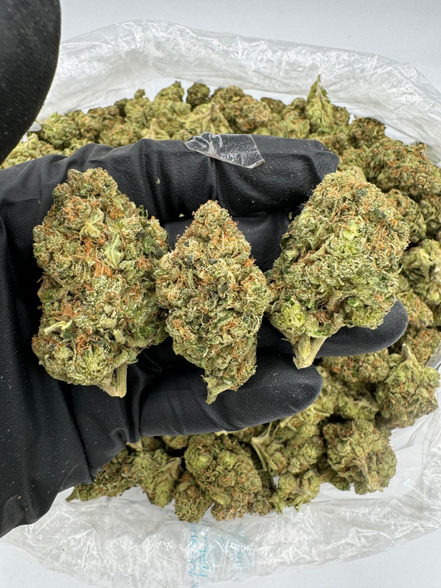 BULK THCA PREMIUM FLOWER INDOOR ORANGE JULIUS