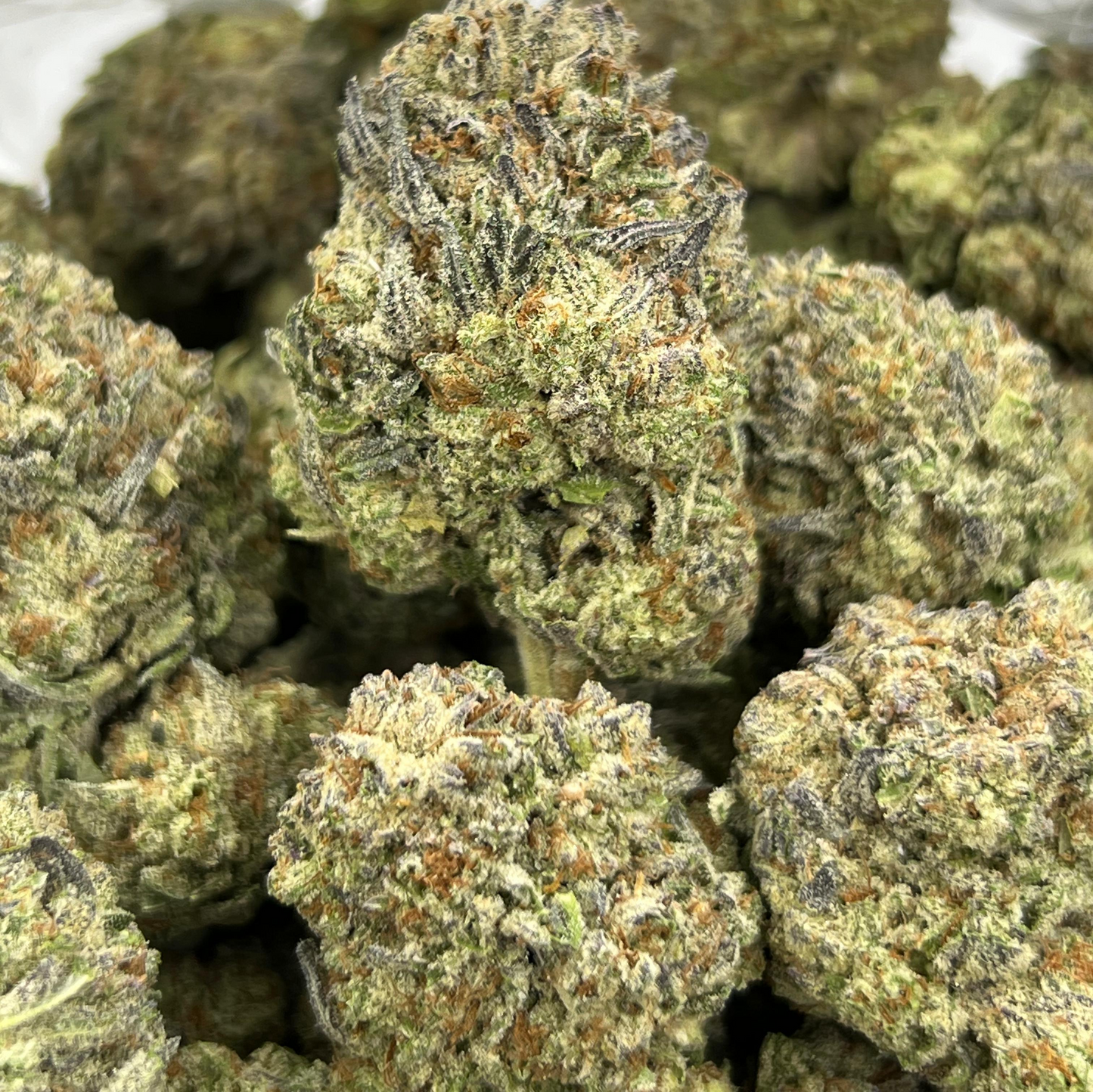 BULK THCA ECONOMY FLOWER INDOOR OREOZ