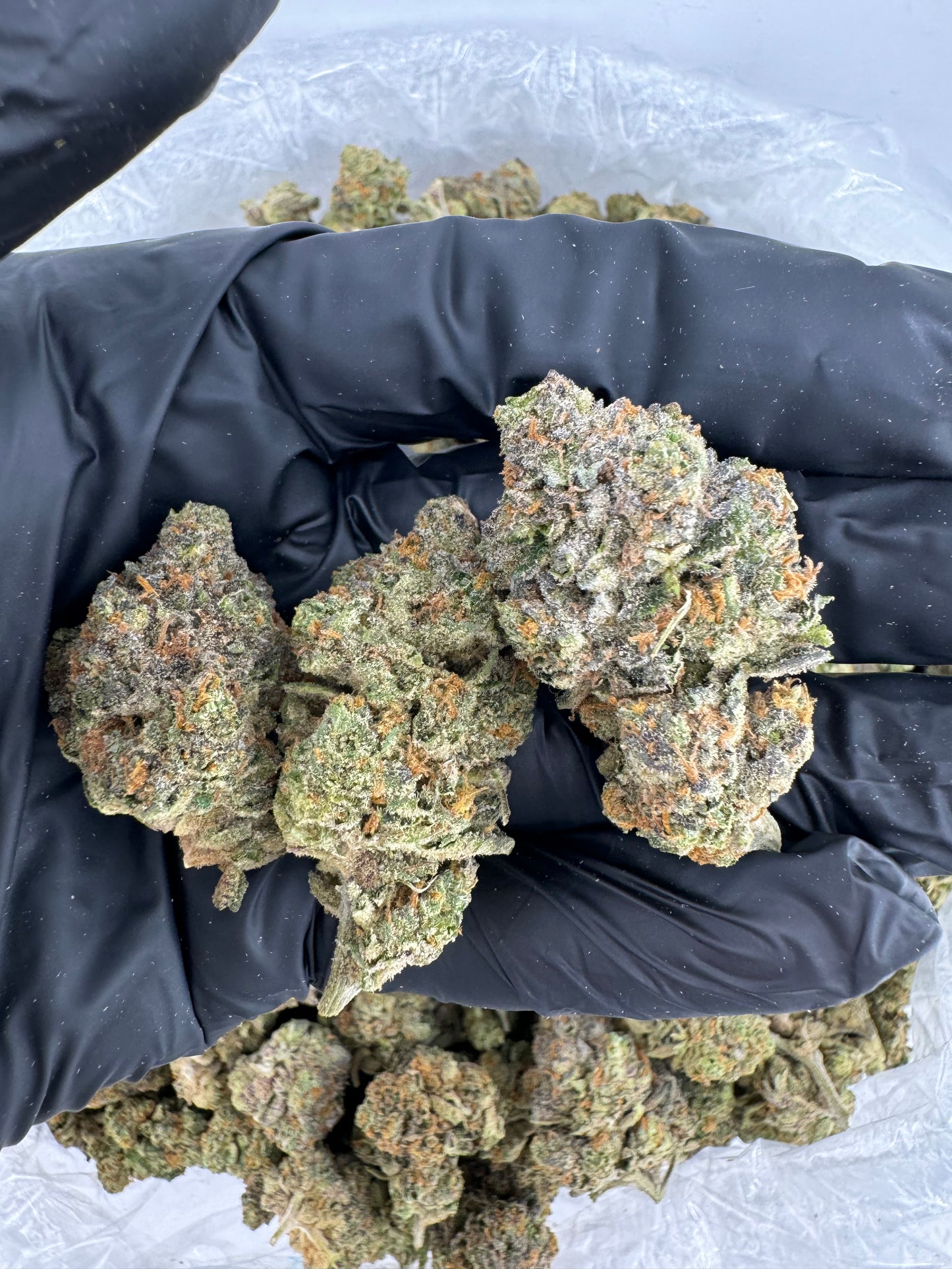 BULK THCA PREMIUM FLOWER INDOOR RAINBOW GELATO