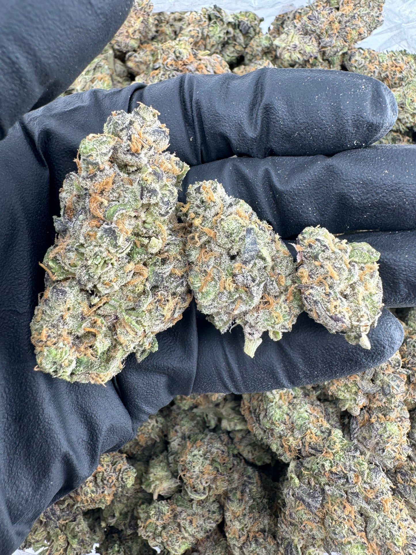 BULK THCA PREMIUM FLOWER INDOOR REESES PIECES