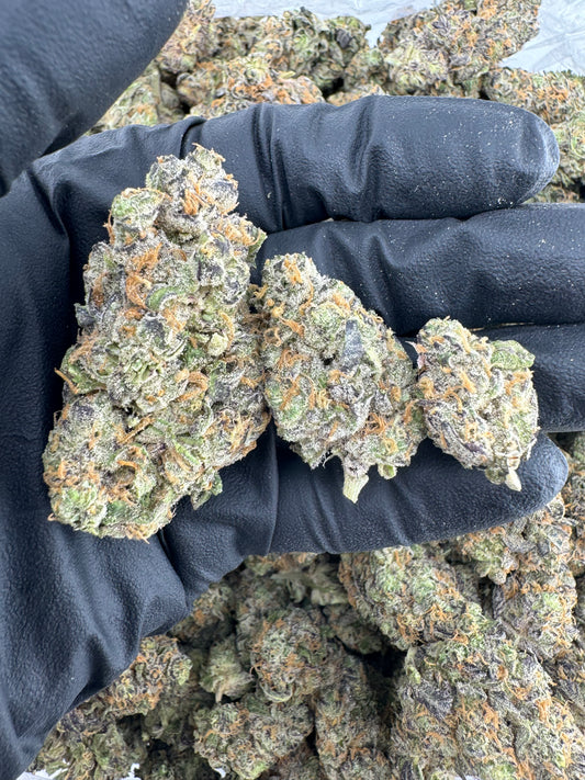 BULK THCA PREMIUM FLOWER INDOOR REESES PIECES