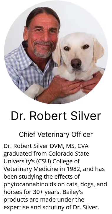 BAILEY'S CBD CALMING CAT TREATS