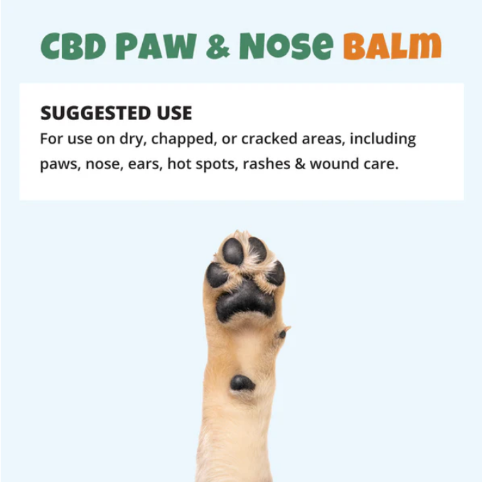 BAILEY'S CBD PAWS AND NOSE BALM FOR DOGS