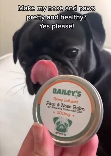 BAILEY'S CBD PAWS AND NOSE BALM FOR DOGS