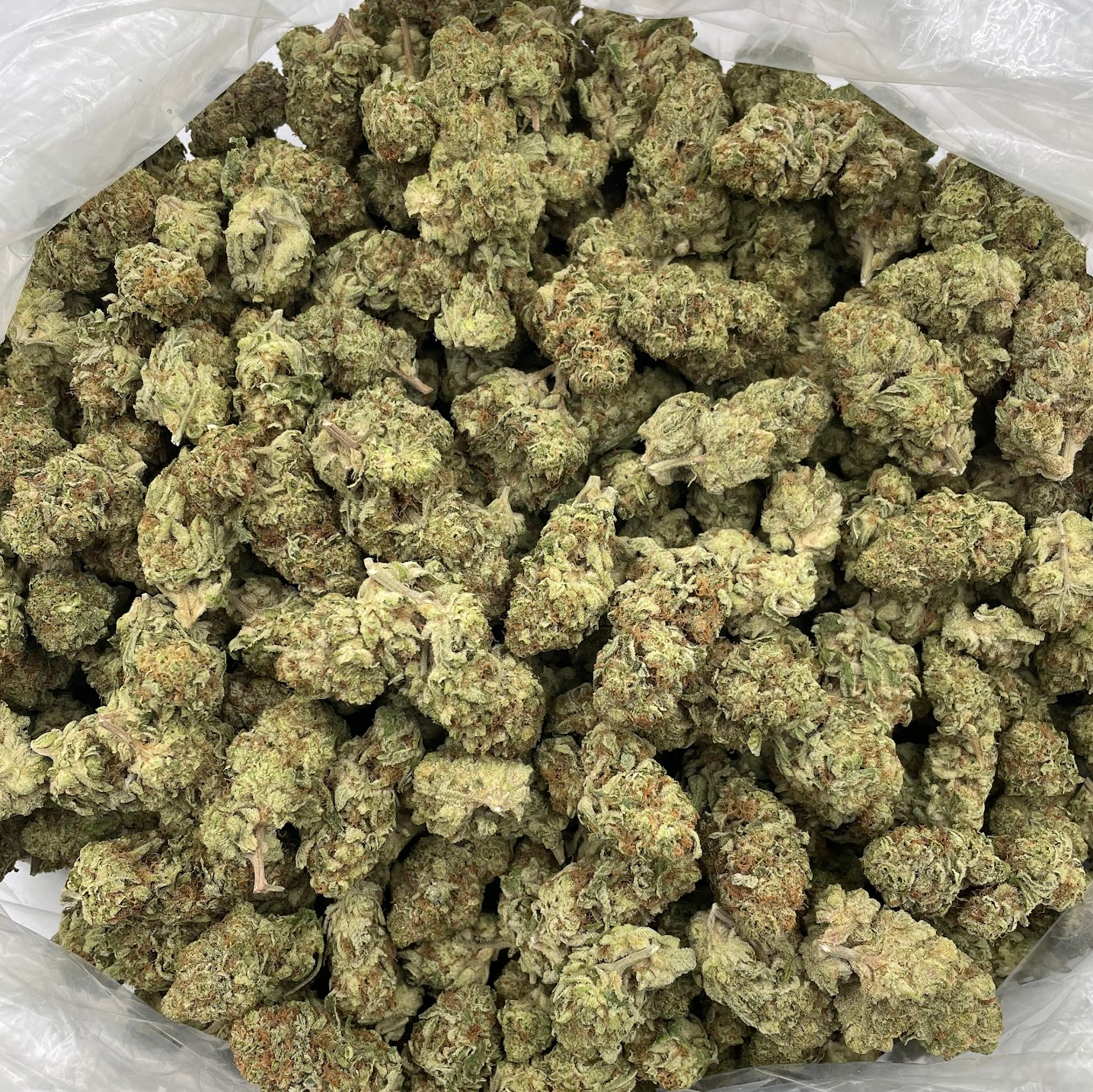 BULK THCA PREMIUM FLOWER INDOOR THIN MINT