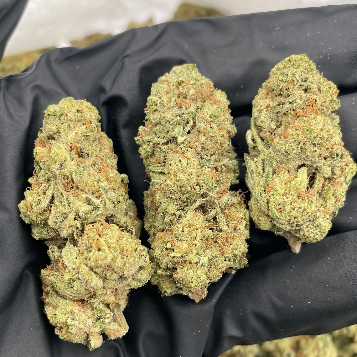BULK THCA PREMIUM FLOWER INDOOR THIN MINT