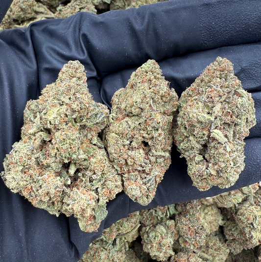 BULK THCA PREMIUM FLOWER LIGHT DEP TRUFFLES