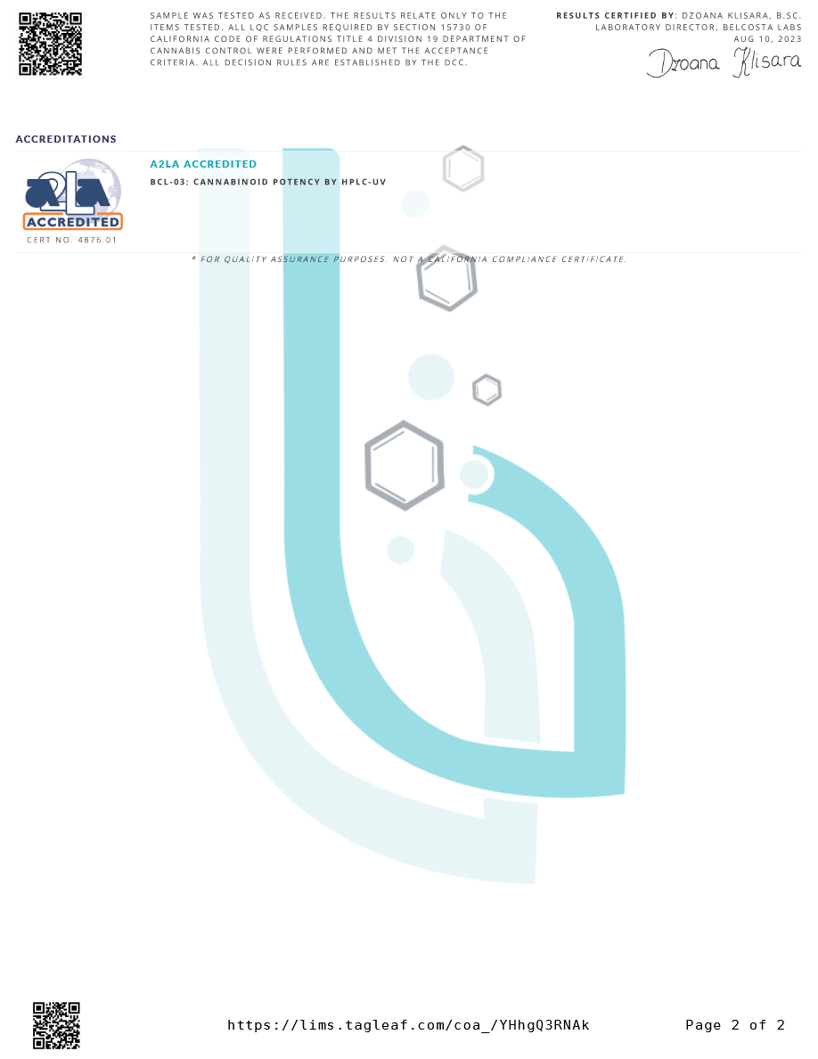 BAILEY'S CBD PET SHAMPOO