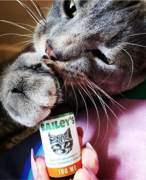 BAILEY'S CBD CAT TINCTURE