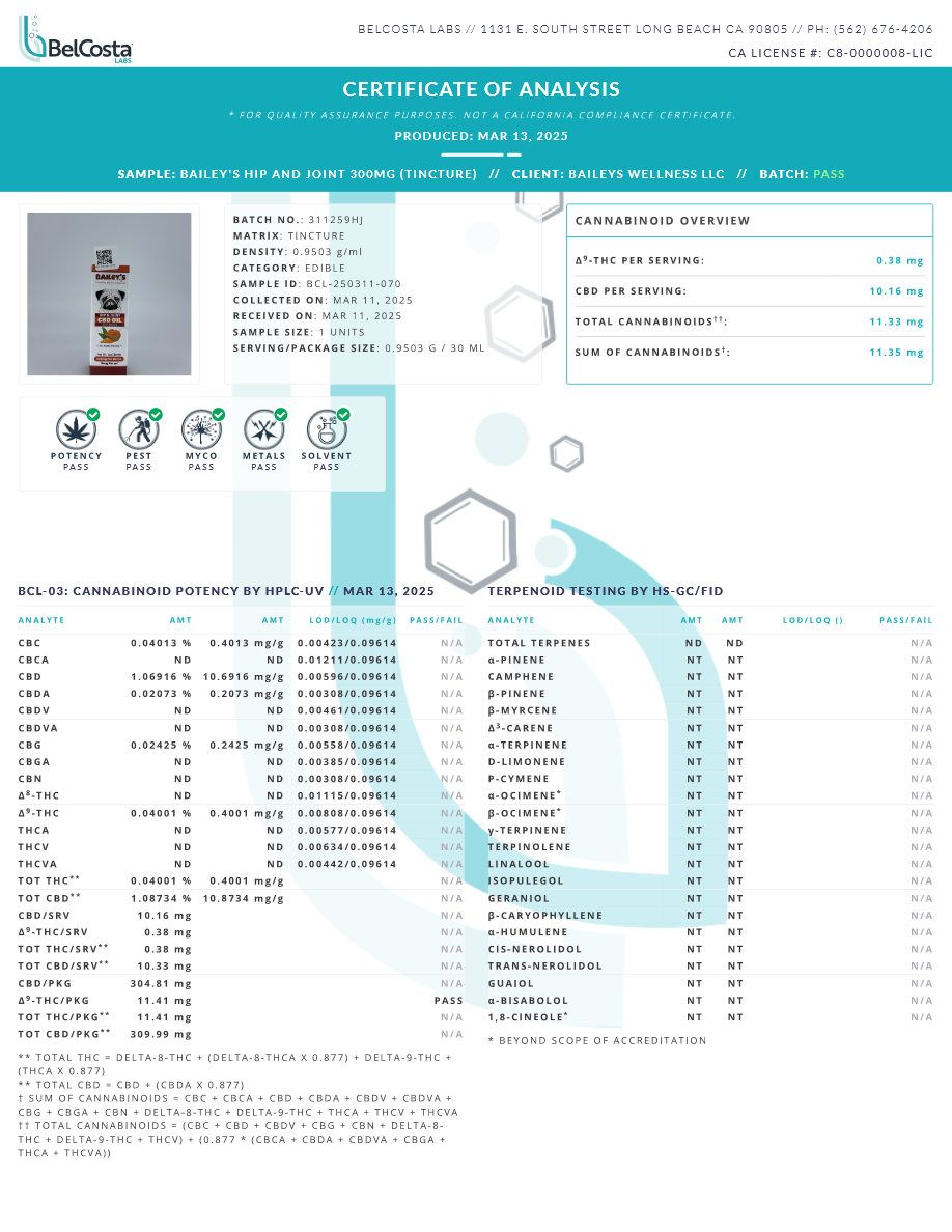BAILEY'S CBD+TURMERIC DOG TINCTURE FOR HIP & JOINT